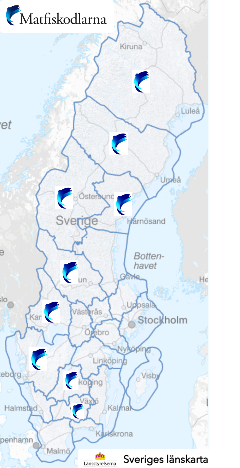 Sverigekarta som illustrerar i vilka län som medlemsföretagen bedriver verksamhet.