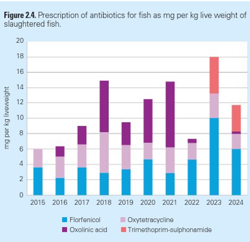 Figur 2.4. Antibiotika 2024 
