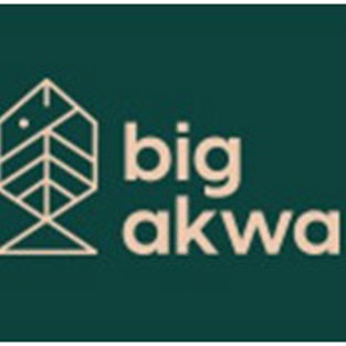 Logotyp Big Akwa