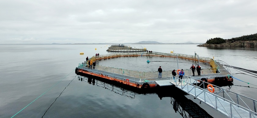 Studiebesök 2024 dag 2_1