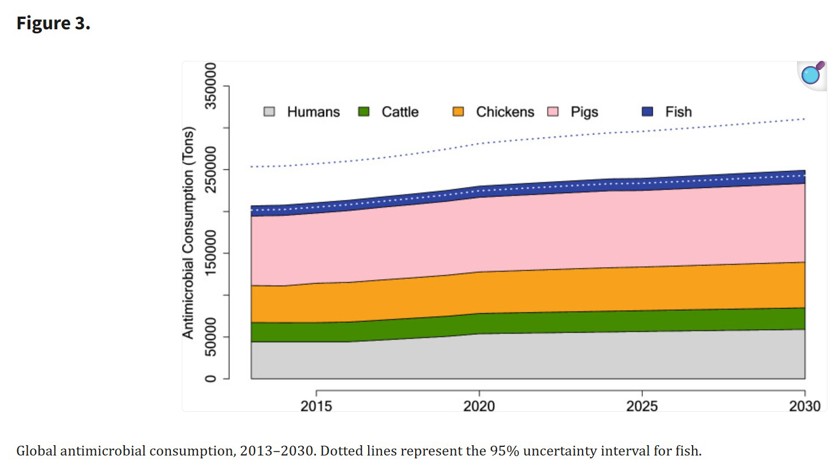 Globala trender antibakteriell konsumtion 2013-2030.